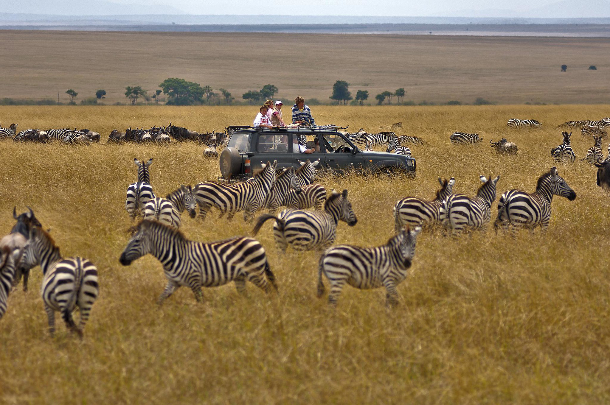 Family safaris in Tanzania